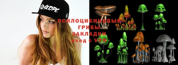 apvp Вязники