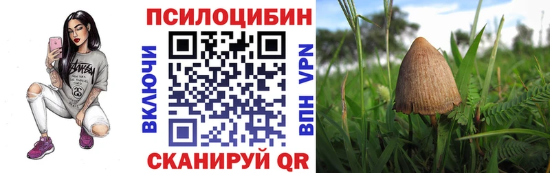 Купить Елизаветинская Псилоцибиновые грибы MAGIC MUSHROOMS